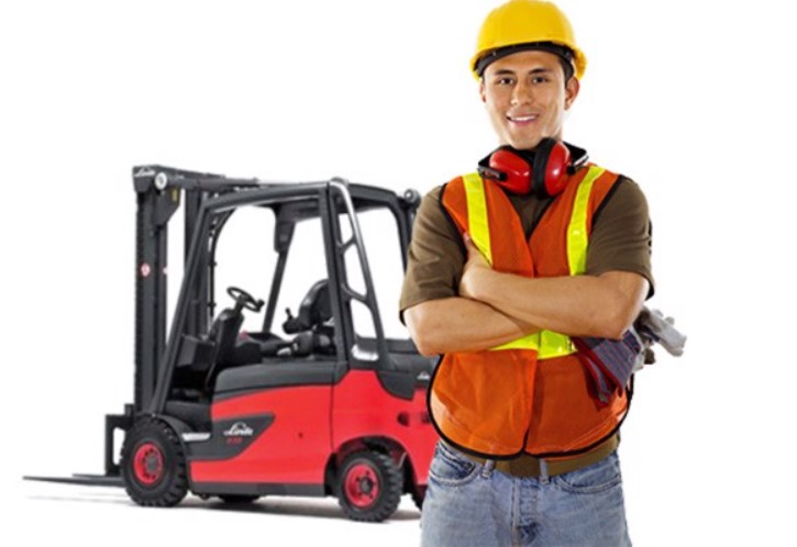 Tìm hiểu vai trò của xe nâng hàng trong ngành logistics hiện nay